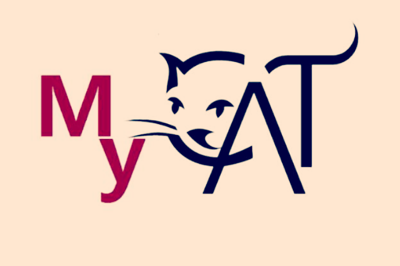 Mycat原理与入门，Mycat优化与开发