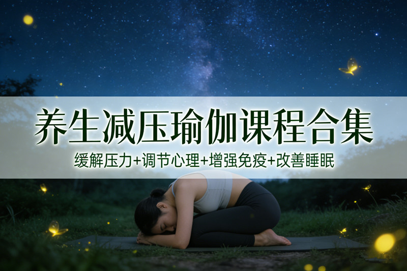 养生减压瑜伽课程合集四季养生放松身心缓解压力改善睡眠增强免疫调理瑜伽