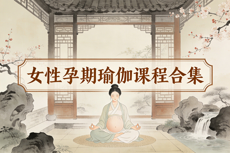 女性孕期瑜伽课程合集瑜伽安全姿势瑜伽动作教学孕妇妊娠瑜伽准妈妈三个阶段