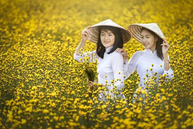 抖音搜索优化课程短视频SEO变现关键词排名影响因素提高权重脚本创作