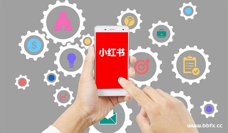 小红书项目实操与变现，小红书项目赚钱教程合集