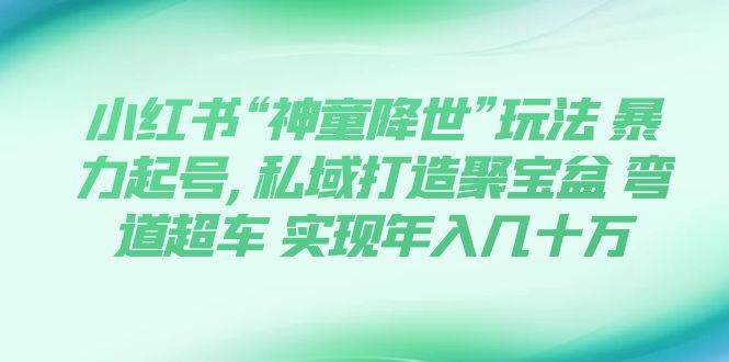 小红书“神童降世”玩法，0基础玩转育婴法则